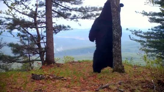 Видео от Паблик Тюмень