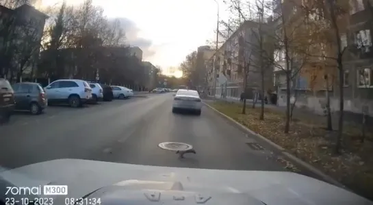 Видео от Паблик Тюмень