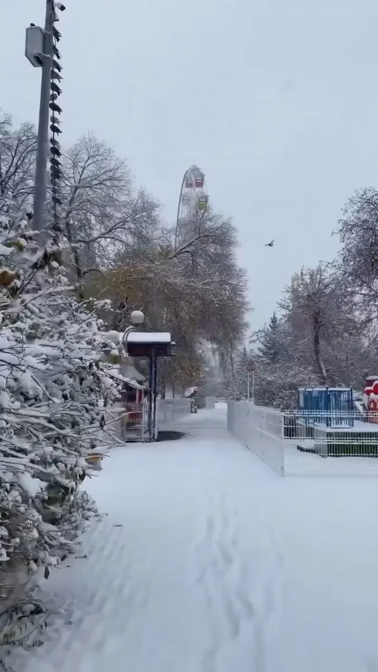 Видео от Паблик Тюмень