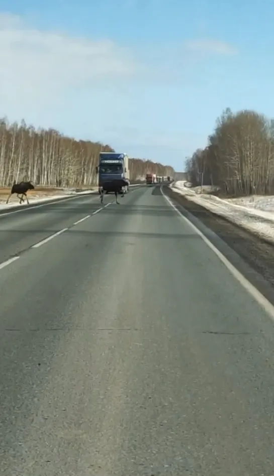 Видео от Паблик Тюмень