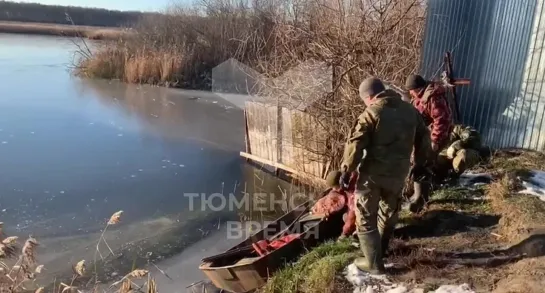 Видео от Паблик Тюмень