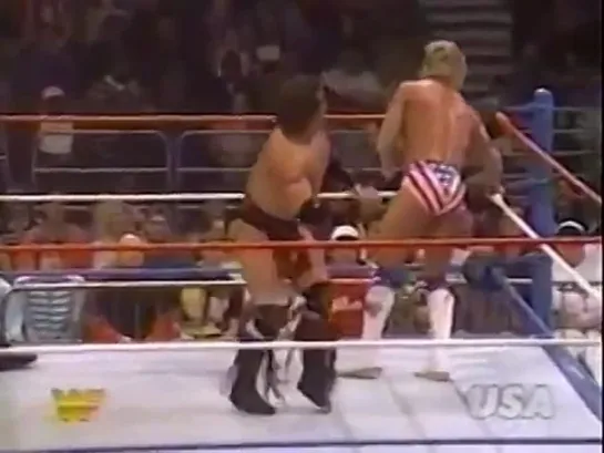 [Wrestling Museum] WWF- Lex Luger vs Tatanka.