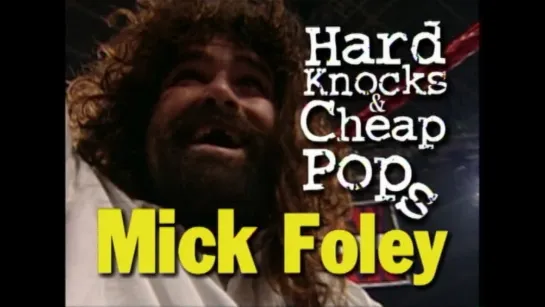 Mick Foley - Hard Knocks Cheap Pops