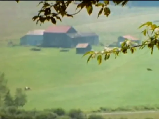 CROSBY, STILLS, NASH 1971 Woodstock