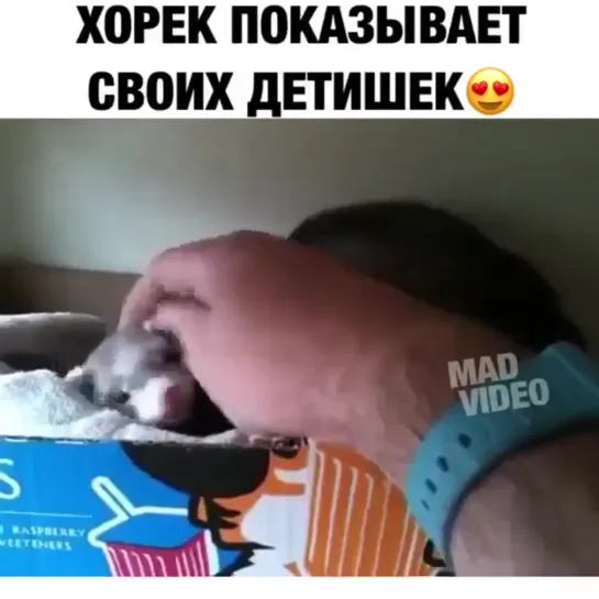 Хозяин иди посмотри😍