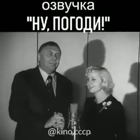 Озвучка "НУ, ПОГОДИ!"