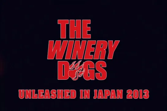 The Winery Dogs - Unleashed in Japan The second show (2013)