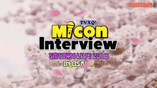 [FSG TOHOTOWN] Micon интервью/SMTOWN LIVE 2018 В ОСАКЕ