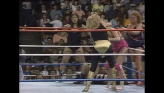 Five-on-five Survivor Series elimination match (WWF Survivor Series 1987)