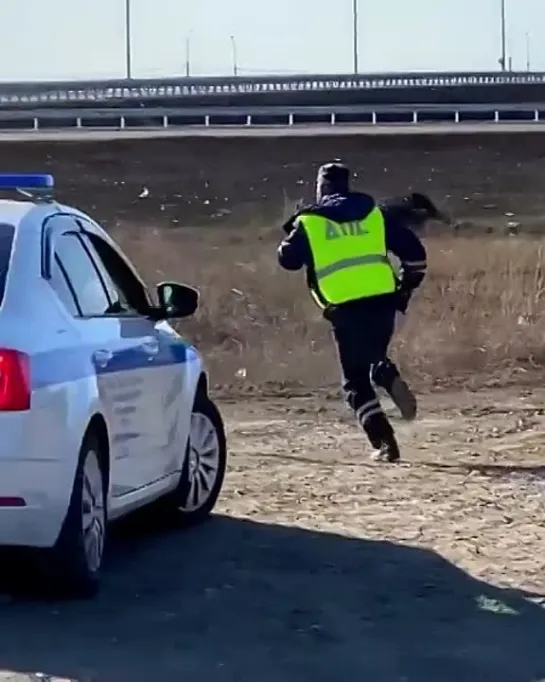 Байкер из Новосибирска словил 5 звезд поиска.