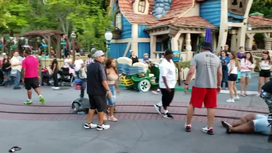 Fight At Disneyland