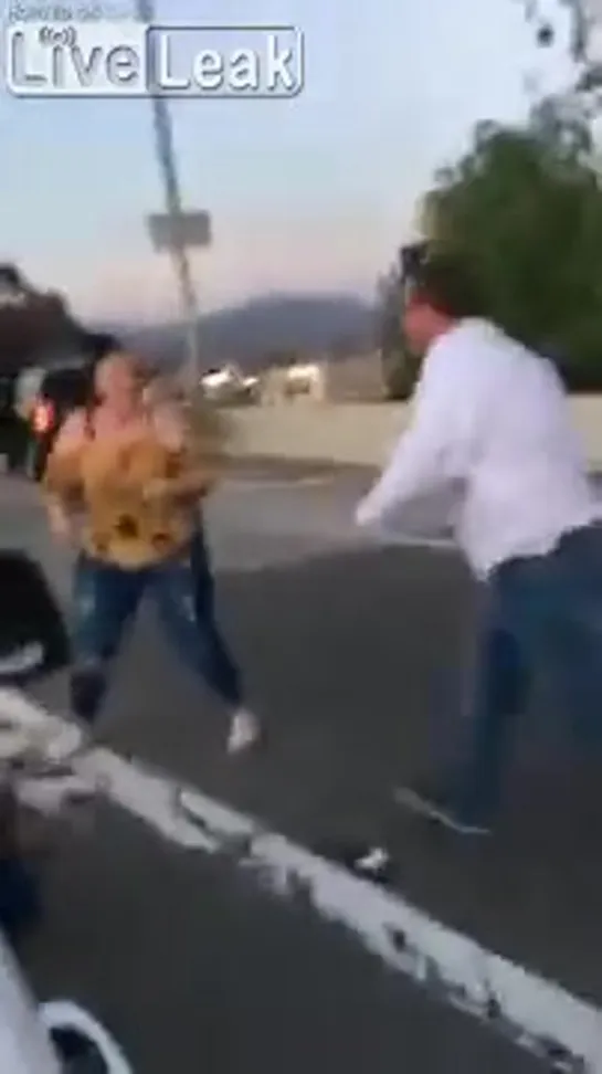 Confrontation On The Freeway