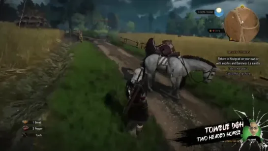 Witcher 3 - Two headed horse