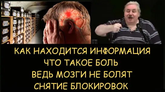 Николай Левашов. Что такое боль ведь мозги не болят. Как находится засекреченная информация. Снятие блокировок