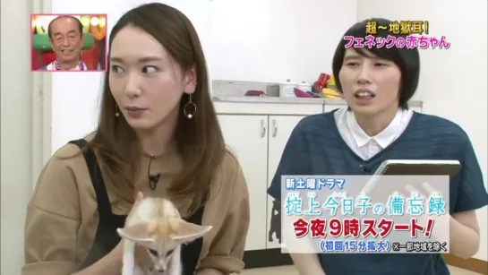 [TV] Aragaki Yui - Shimura Zoo (Gakki cut) - 2015.10.10