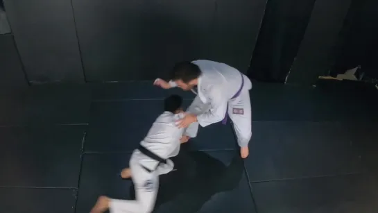 Ankle Pick - One Of Most EFFICIENT Takedowns for All Levels in BJJ | 4K