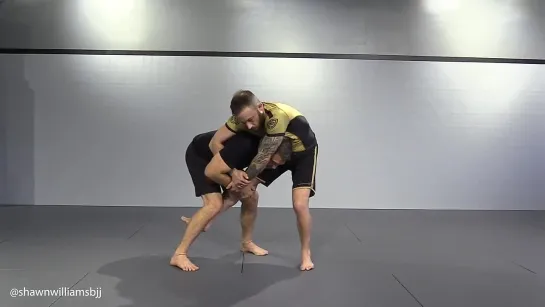 Shawn Williams - Single Leg vs Kimura - Beat the Kimura and Finish the Takedown