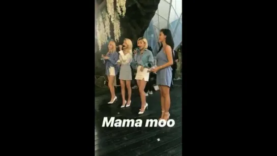 02.06.18 Mamamoo X Maeil Bio Wedding Singer