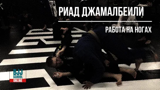 Семинар Риада Джамалбеили. хайлайт #bjf_smartseminar #bjjfreaks_TV