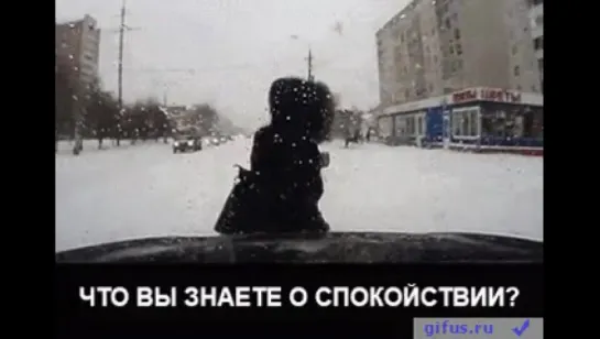 Что Вы Знайте О Спокойствии ? (Gif) #VKLive: