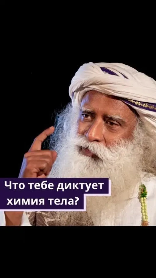 Что тебе диктует химия тела?