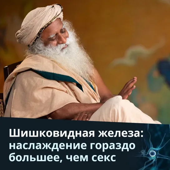 Шишковидная железа: наслаждение гораздо большее, чем что-либо еще