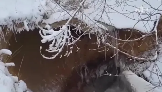 Видео от ПЕРВЫЙ НОВОСТНОЙ