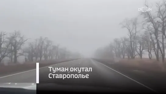 Видео от ПЕРВЫЙ НОВОСТНОЙ