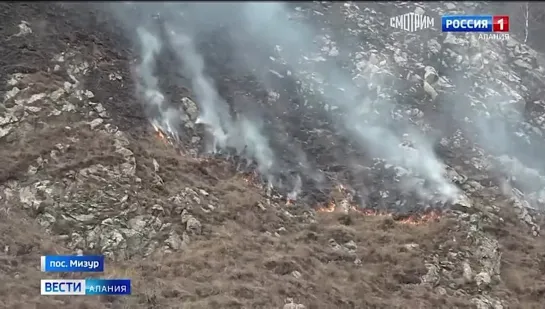 Видео от ПЕРВЫЙ НОВОСТНОЙ