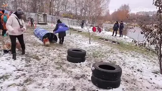 Видео от ПЕРВЫЙ НОВОСТНОЙ