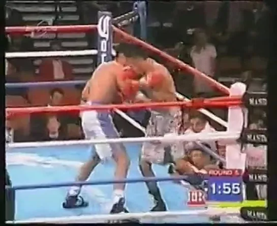 Antonio Margarito vs Sergio Gabriel Martinez