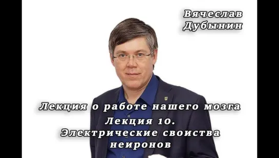 Электрические свойства нейронов — Вячеслав Дубынин