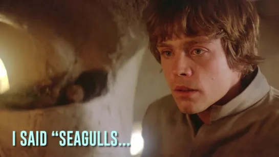 Star Wars - SEAGULLS! (Stop It Now)