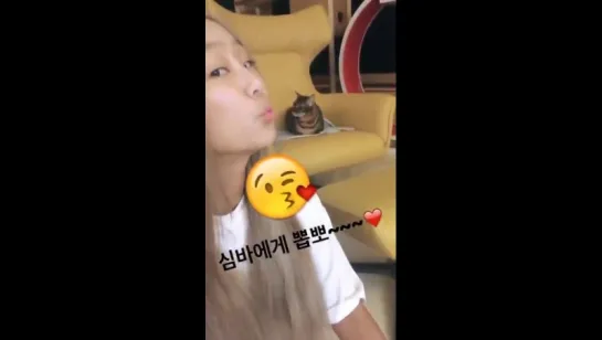 170512 Hyolyn Instastory Update