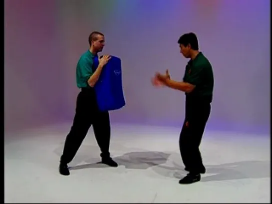 Benny Meng - Ip Man Wing Chun Series 3-4 Chum Kiu