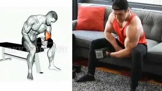 HOW TO BUILD STRONG BICEPS AT HOME।