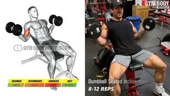 6 Dumbbell Biceps Exercises for Bigger Arms