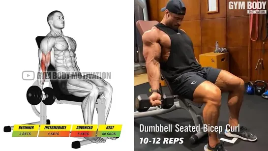 6 Best Dumbbell Biceps Exercises for Bigger Arms