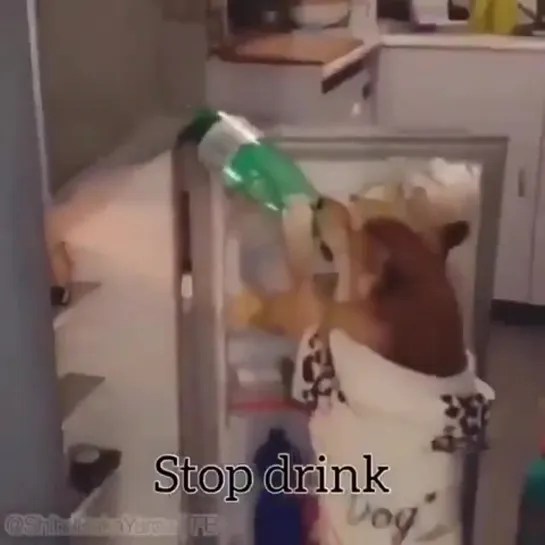 stop drinking