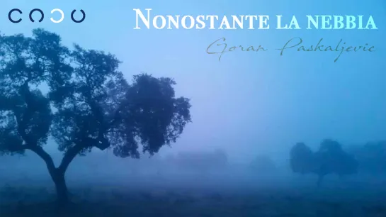 Nonostante la nebbia