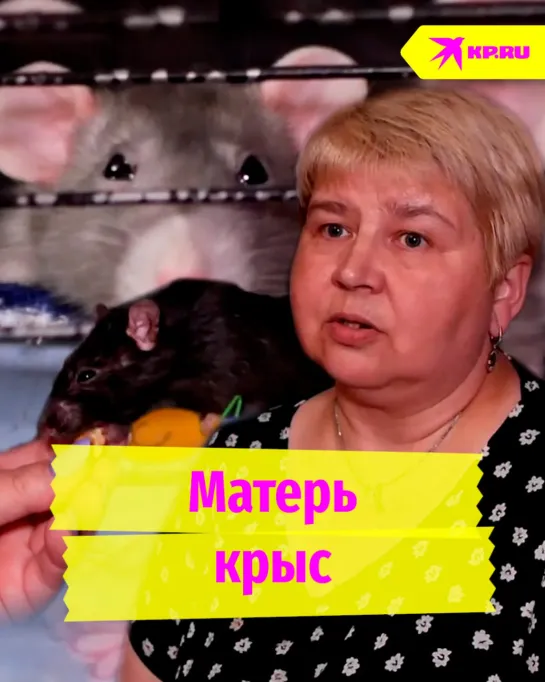 Матерь крыс