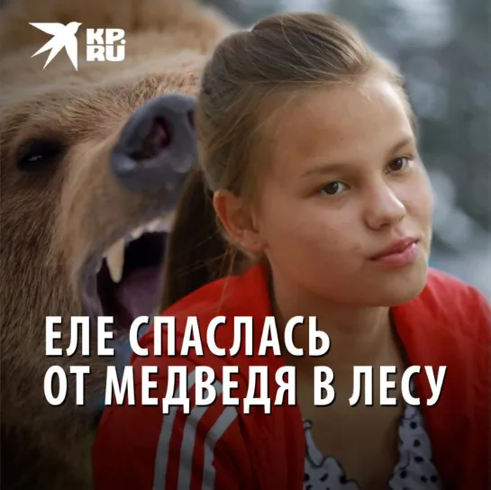 Еле спаслась от медведя в лесу