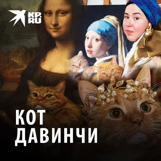 Кот ДаВинчи