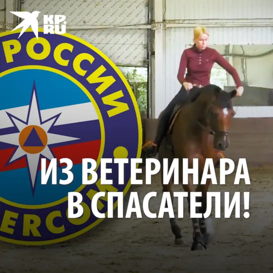 Из ветеринара в спасатели!