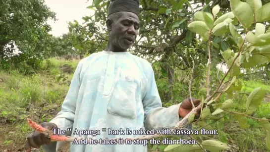 Yiga Kaka (Cock Diagnosis) (2022) dir. Aboubakar Hamadama