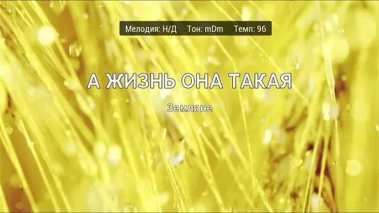 Земляне - А Жизнь Она Такая (караоке)