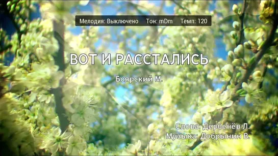 Михаил Боярский - Вот И Расстались (караоке)