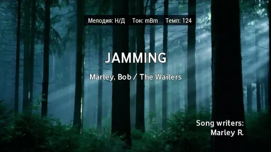 Bob Marley, The Wailers - Jamming (караоке)