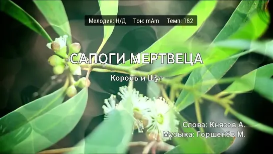 Король и Шут - Сапоги Мертвеца (караоке)