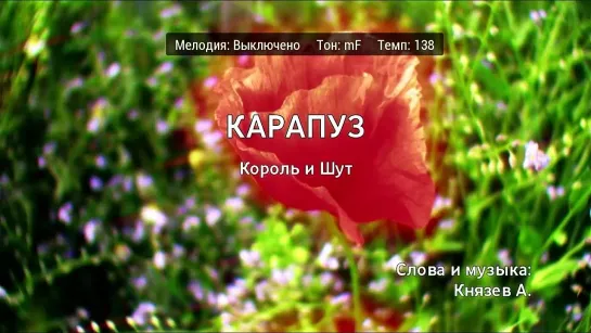 Король и Шут - Карапуз (караоке)